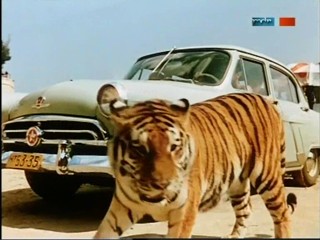 Rette sich wer kann - ÐŸÐ¾Ð»Ð¾ÑÐ°Ñ‚Ñ‹Ð¹ Ñ€ÐµÐ¹Ñ