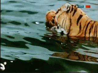 Rette sich wer kann - ÐŸÐ¾Ð»Ð¾ÑÐ°Ñ‚Ñ‹Ð¹ Ñ€ÐµÐ¹Ñ