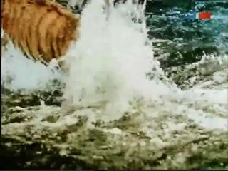 Rette sich wer kann - ÐŸÐ¾Ð»Ð¾ÑÐ°Ñ‚Ñ‹Ð¹ Ñ€ÐµÐ¹Ñ