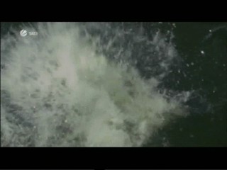 Das total verrÃ¼ckte Wochenende