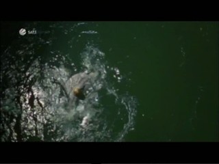 Das total verrÃ¼ckte Wochenende