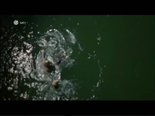 Das total verrÃ¼ckte Wochenende