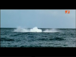 Star Trek 4: The Voyage Home