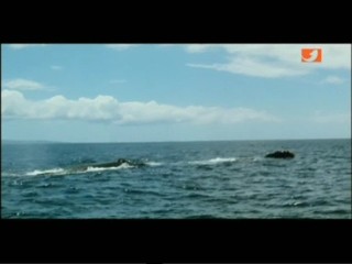 Star Trek 4: The Voyage Home