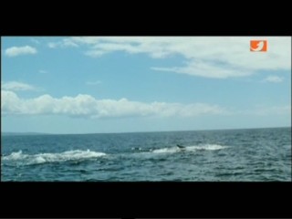 Star Trek 4: The Voyage Home