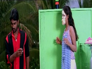 Pallakilo Pellikuthuru