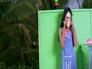 Pallakilo Pellikuthuru