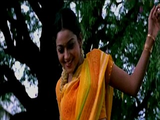 Pallakilo Pellikuthuru