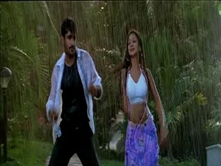 Pallakilo Pellikuthuru