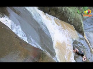 Cricket Girls & Beer