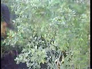 The World of Suzy Wong,  A Girl Named Tamiko