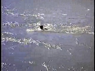 The Far Horizons ,  Thoroughly Modern Millie