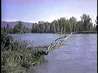 The Far Horizons ,  Thoroughly Modern Millie