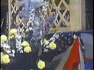 Swiss Family Robinson,  They Shoot Horses, Don't They