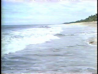 Slaves of the Cannibal God