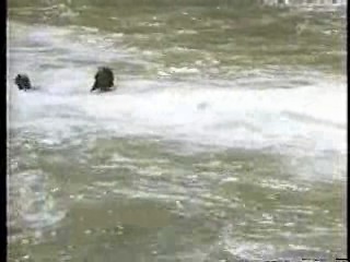 Slaves of the Cannibal God