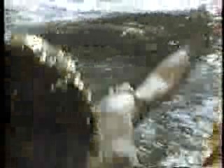 Slaves of the Cannibal God