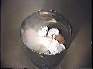 Confessions of Pop Performer