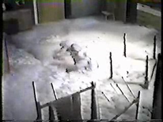 Confessions of a Window Cleaner,  Confessions of a Driving Instructor