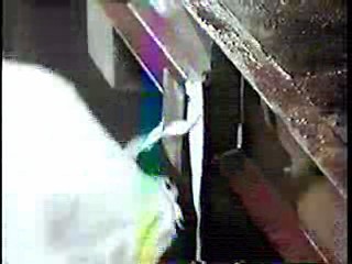 Living It Up,  The Spy Who Loved Me