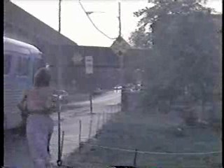 Stanley & Iris,  Lure of the Swamp