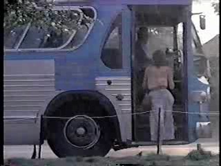 Stanley & Iris,  Lure of the Swamp