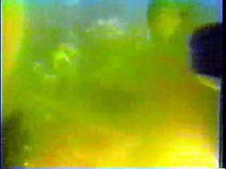 The Mighty Quinn,  Princess Academy,  The Hitchhiker,