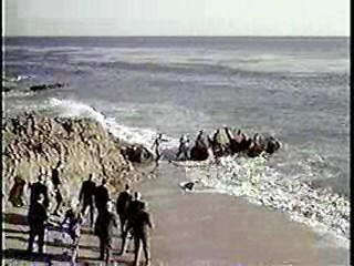 The Big Mouth,   Paint Your Wagon