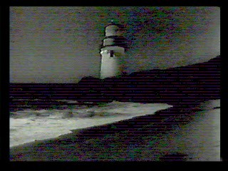 Tormented,  Zandalee