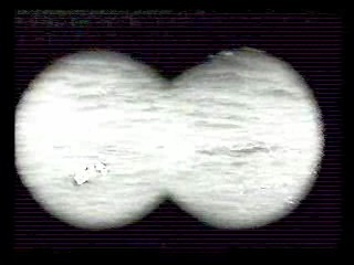 Tormented,  Zandalee