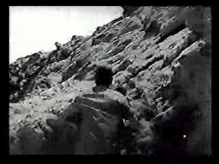 Tormented,  Zandalee