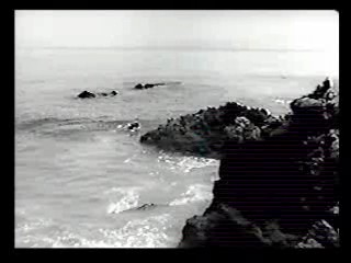 Tormented,  Zandalee