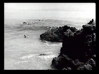 Tormented,  Zandalee