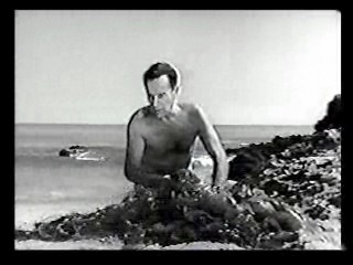 Tormented,  Zandalee