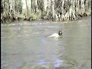 Tormented,  Zandalee