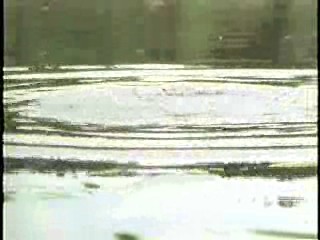 Tormented,  Zandalee