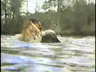 Tormented,  Zandalee