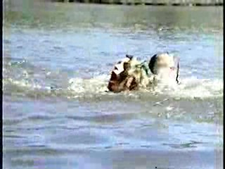 Tormented,  Zandalee