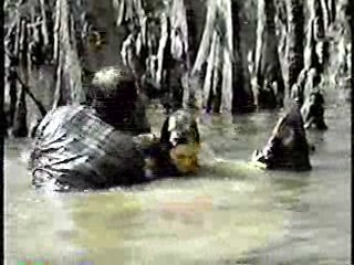 Tormented,  Zandalee