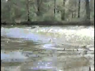 Tormented,  Zandalee