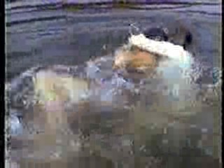 Embryo,  Pancho Barnes,  Lets Scare Jessica to Death