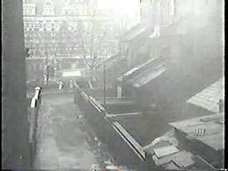 Georgy Girl,  Jungle Movie