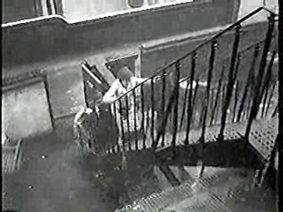 Georgy Girl,  Jungle Movie