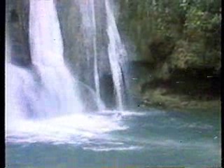 Georgy Girl,  Jungle Movie