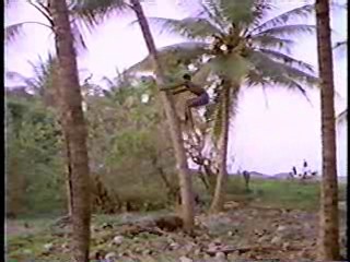 Turkish Movie,  Playboy's Girls of Jamaica