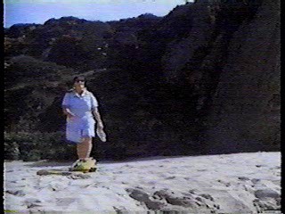 China Beach,  Renta Cop,  Kissin' Cousins