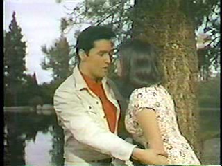 China Beach,  Renta Cop,  Kissin' Cousins