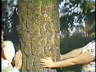 China Beach,  Renta Cop,  Kissin' Cousins