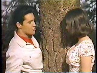 China Beach,  Renta Cop,  Kissin' Cousins