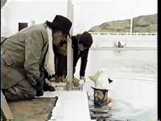 America's Funniest Videos,  Spanish movie